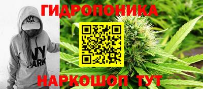 амф Берёзовский