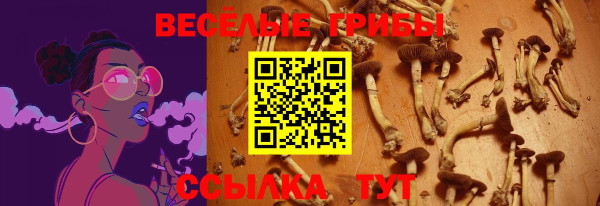 Псилоцибиновые грибы Cubensis  Галлюциногенные грибы Cubensis  Волгодонск  где купить наркотик  Вход с VPN 
