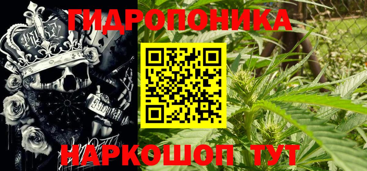 Шишки марихуана OG Kush  Конопля Amnesia  Вход с VPN  Марихуана сатива  Волгодонск  МАРИХУАНА SATIVA & INDICA 